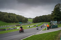 Middle Group Red Bikes